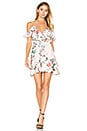 view 1 of 3 Salsa Dress in FLAMINGO