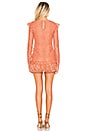 view 3 of 4 Lee Dress in Golden Coral