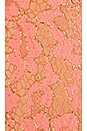 view 4 of 4 Lee Dress in Golden Coral