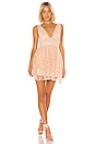 view 1 of 4 Dora Mini Dress in Blush Nude