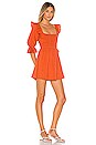 view 2 of 3 Abrielle Mini Dress in Rust Orange
