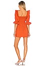 view 3 of 3 Abrielle Mini Dress in Rust Orange
