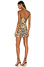 view 3 of 3 Dayton Mini Dress in Autumn Multi