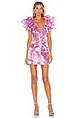 view 1 of 3 Oaklyn Mini Dress in Princess Pink