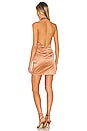 view 3 of 4 Yasmin Mini Dress in Copper Rose