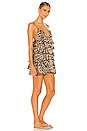 view 2 of 3 Afia Mini Dress in Leopard