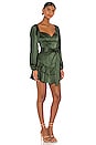 view 2 of 3 Etta Mini Dress in Autumn Green