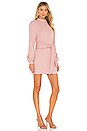 view 2 of 3 Edwin Mini Dress in Pink