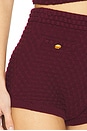 view 6 of 6 Evaline Shorts in Oxblood