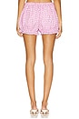 view 4 of 6 Kailey Bloomer Short in Purple & White Gingham