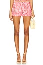 view 1 of 6 Roxy Bloomer Short in Red & White Check