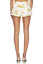 view 4 of 6 Sansa Mini Short in Orange Fruit Multi
