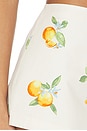 view 6 of 6 Sansa Mini Short in Orange Fruit Multi