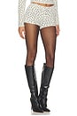 view 2 of 6 Shary Leopard Short in Light Leopard
