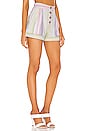 view 2 of 4 Hendrix Short in Pastel Multi