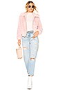 view 4 of 4 Adele Coat in Blush Pink