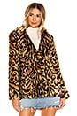 view 2 of 5 Stella Coat in Leopard