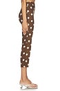 view 3 of 6 Cosette Capri in Brown & White Polka Dot