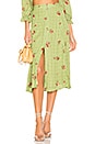 view 1 of 4 Sunday Skirt in Green Picnic
