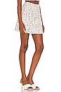 view 2 of 4 Ramira Mini Skirt in Multi Color