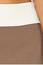 view 6 of 6 Serena Mini Skirt in Brown & Ivory