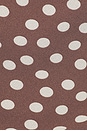 view 5 of 5 Lucinda Top in Brown Polka Dot