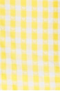 view 5 of 5 Peggy Bustier Top in Yellow & White Check