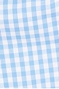 view 5 of 5 Viviana Top in Blue & White Gingham