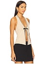 view 2 of 4 Kladuia Top in Camel