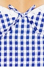 view 5 of 5 Peggy Bustier Top in Blue & White Check