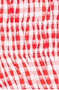 view 5 of 5 Roxy Top in Red & White Check
