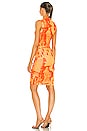 view 3 of 3 Sofia Dress in Stone Orange