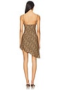 view 4 of 5 Helga Dress in Leopard