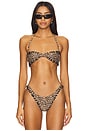 view 1 of 5 Rio Bikini Top in Leopard