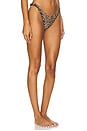 view 2 of 5 BAS DE MAILLOT DE BAIN RIO in Leopard