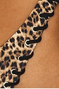 view 5 of 5 Rio Bikini Bottom in Leopard