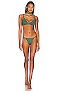 view 4 of 4 Tala Bikini Bottom in Emerald