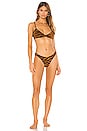 view 4 of 5 Carla Bikini Top in Brown Clay