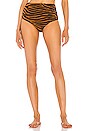 view 1 of 5 Lydia Bikini Bottom in Brown Clay
