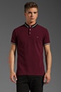 view 1 of 5 Striped Collar Polo in Madder Carmine