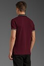 view 3 of 5 Striped Collar Polo in Madder Carmine