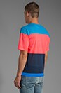 view 3 of 4 Patrick Stripe Tee in Atomic Blue Multi