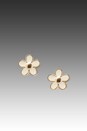 view 1 of 2 Daisy Stud Earrings in Cream Oro