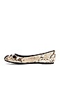 view 5 of 5 BALLERINES SOURIS in Natural