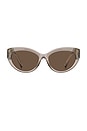 view 1 of 3 Cat Eye Sunglasses in Nude & Brown