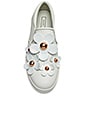view 4 of 6 Daisy Sneaker in White