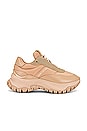 view 1 of 6 The DTM Lazy Runner in Camel