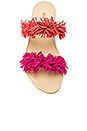 view 4 of 5 Azula Sandal in Fuchsia & Guava