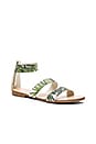 view 2 of 5 Nikita Sandal in Palm