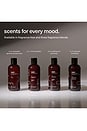 view 5 of 9 Ph Balanced Body Wash & Bubble Bath in No. 2
